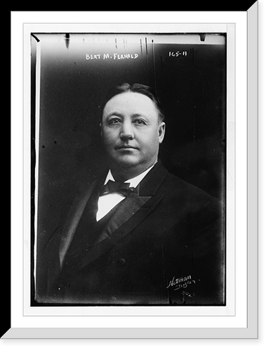 Bert M. Fernald, portrait bust, Notman, Boston.Notman, Antique Wall Art