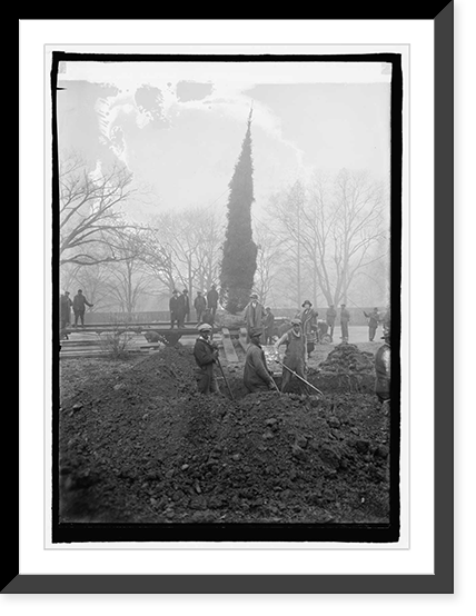 Historic Framed Print, Community Xmas tree being planted, 12/17/24,  17-7/8" x 21-7/8"