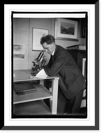 R.P. Tolman at museum, with letter in eye of needle, 12/17/24, Vintage Print