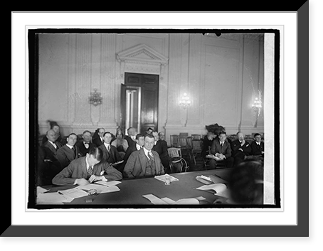 Gen. Mitchell before House of Rep. Aircraft Committee, 2/6/25, Antique Poster