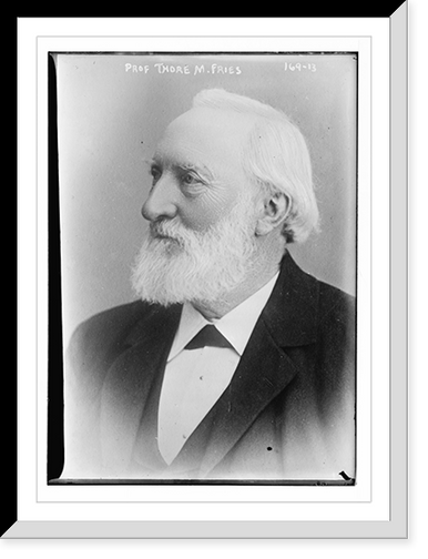 Prof. Thore M. Fries, portrait bust, Antique Poster