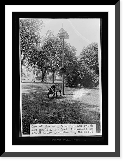 One of the many bird houses which Mrs. Harding has installed in the White House grounds,, Vintage Wall Art