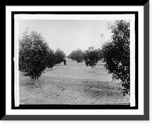 Historic Framed Print, Rio Grande Valley, New Mex. & Texas,  17-7/8" x 21-7/8"