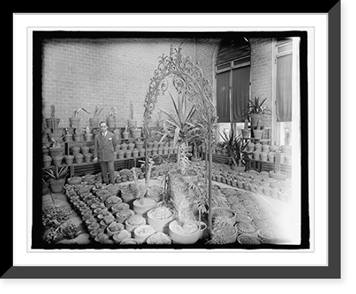Historic Framed Print, Mexican Emb., [Washington, D.C.], greenhouse,  17-7/8" x 21-7/8"