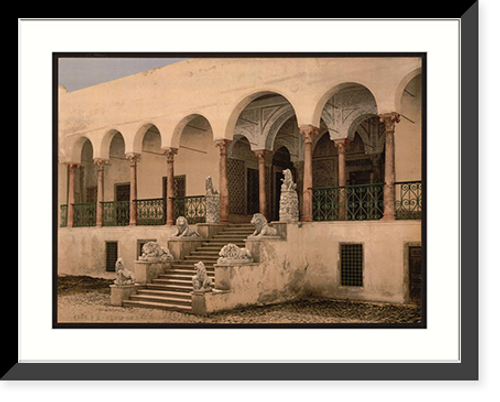 Historic Framed Print, Bardo the lion staircase Tunis Tunisia,  17-7/8" x 21-7/8"