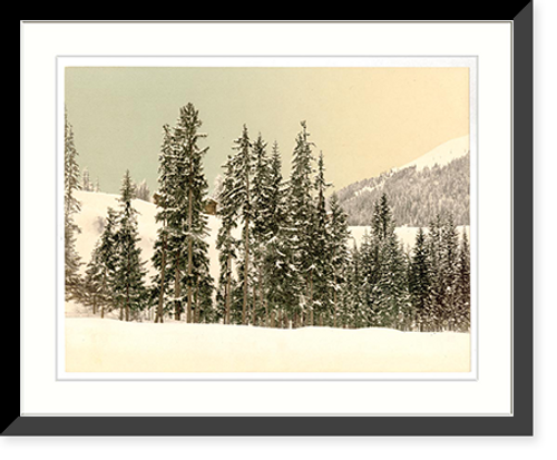 Historic Framed Print, Winter scene with trees and snow,  17-7/8" x 21-7/8"