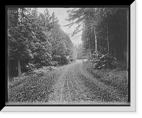 Historic Framed Print, [Hotel Champlain, beautiful green drive in autumn, Bluff Point, N.Y.],  17-7/8" x 21-7/8"