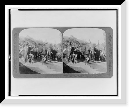 Historic Framed Print, Buddhist procession going to bring new rice to the Temple of the Tooth Kandy Ceylon,  17-7/8" x 21-7/8"