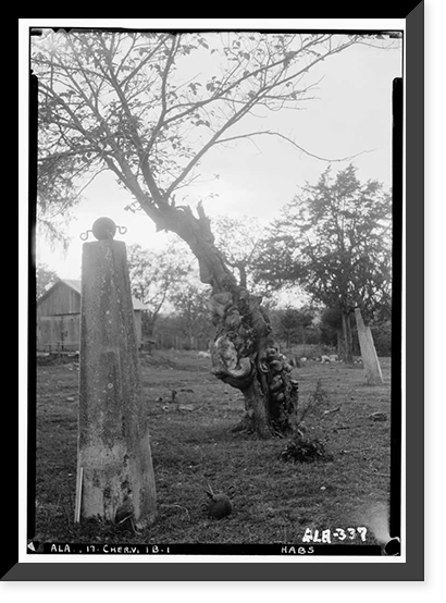 Cunningham Plantation, Old Memphis Road (Gaines Trace Road), Cherokee vicinity, Colbert County, AL - 27 Classic, Vintage Print