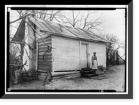 Thornhill Plantation, County Road 19, Watsonia, Greene County, AL - 25, Antique Print