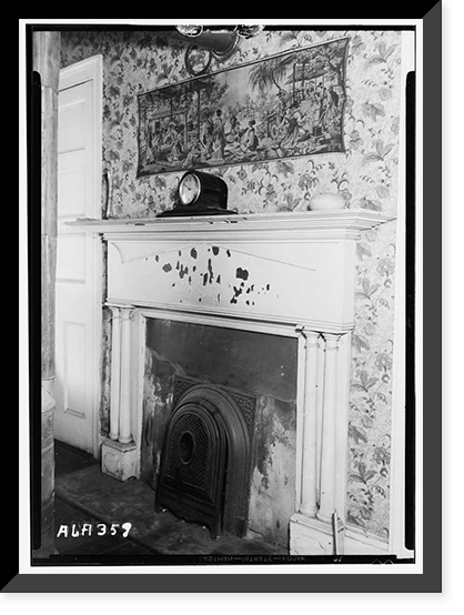 Perry House, North Pine & Tuscaloosa Streets, Florence, Lauderdale County, AL - 5, Historic Print