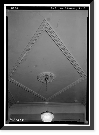 Cedar Grove, Uniontown Road, Faunsdale vicinity, Marengo County, AL - 10, Antique Wall Art