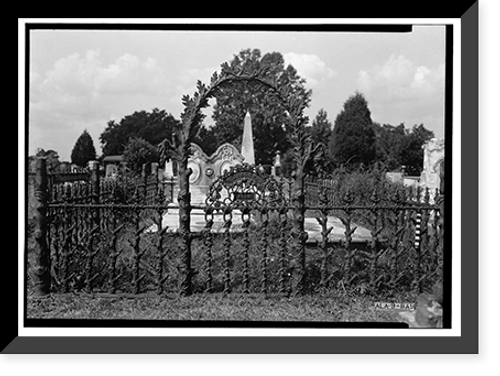 Historic Framed Print, Magnolia Cemetery (Ironwork), Virginia Street, Mobile, Mobile County, AL - 17,  17-7/8" x 21-7/8"