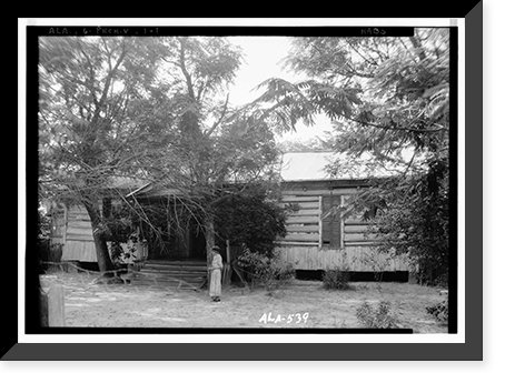 Octavia Adkinson House, Wilson Road, Peachburg, Bullock County, AL, Antique Poster