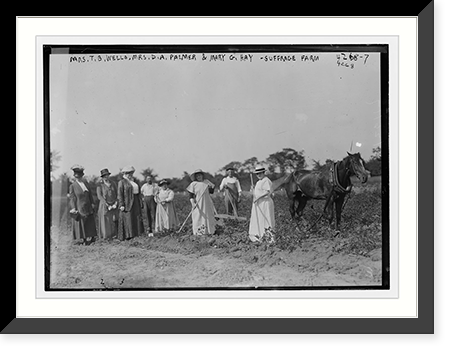 Mrs. T.B. Wells, Mrs. D.A. Palmer & Mary G. Hay . suffrage farmers Classic, Vintage Print
