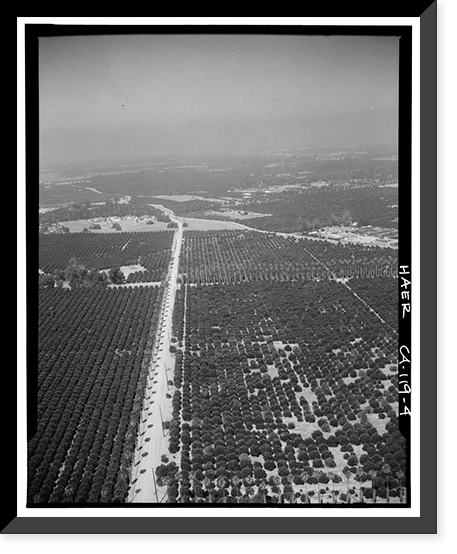 Historic Framed Print, Arlington Heights Citrus Landscape, Southwestern portion of city of Riverside, Riverside, Riverside County, CA - 4,  17-7/8" x 21-7/8"