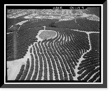 Historic Framed Print, Arlington Heights Citrus Landscape, Southwestern portion of city of Riverside, Riverside, Riverside County, CA - 7,  17-7/8" x 21-7/8"