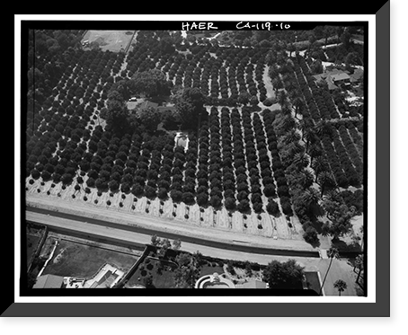 Arlington Heights Citrus Landscape, Southwestern portion of city of Riverside, Riverside, Riverside County, CA - 10, Antique Print