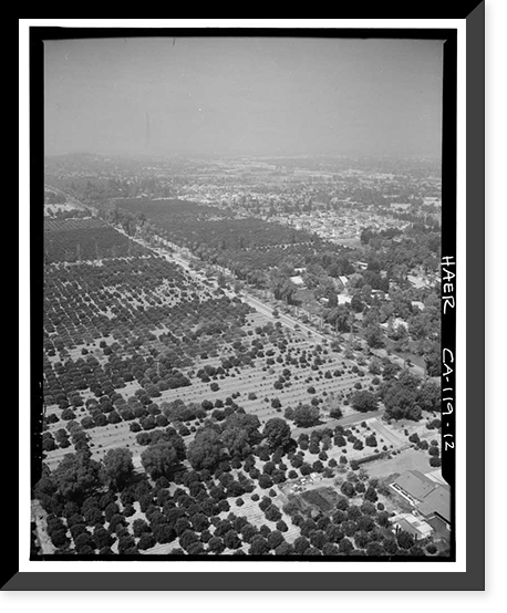 Arlington Heights Citrus Landscape, Southwestern portion of city of Riverside, Riverside, Riverside County, CA - 12, Vintage Poster