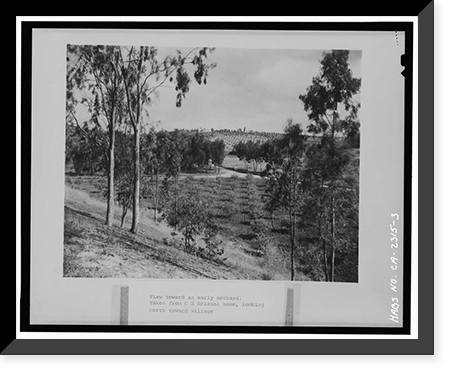 Rancho Santa Fe, Rancho Santa Fe, San Diego County, CA - 3, Historic Print