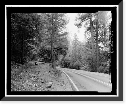 Historic Framed Print, Wawona Road, Between South Entrance & Yosemite Valley, Yosemite Village, Mariposa County, CA - 2,  17-7/8" x 21-7/8"