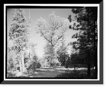 Wawona Road, Between South Entrance & Yosemite Valley, Yosemite Village, Mariposa County, CA - 13, Antique Wall Art