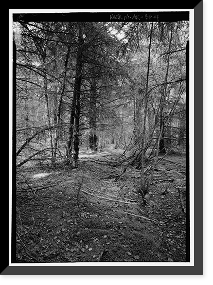 Dyea Townsite (Ruins), Skagway, Municipality of Skagway Borough, AK - 4, Historic Print