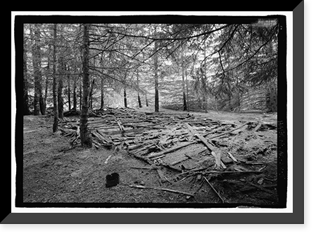 Dyea Townsite (Ruins), Skagway, Municipality of Skagway Borough, AK - 5 Classic, Antique Print