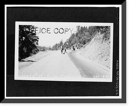 Redwood National & State Parks Roads, California coast from Crescent City to Trinidad, Crescent City, Del Norte County, CA - 52, Vintage Poster