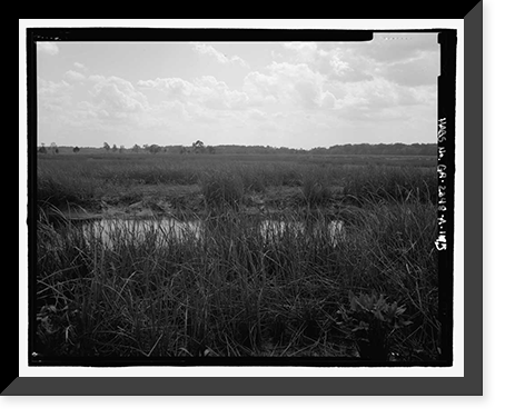 Historic Framed Print, Richmond Hill Plantation, Sterling Creek Marsh, East of Richmond Hill on Ford Neck Road, Richmond Hill, Bryan County, GA - 15,  17-7/8" x 21-7/8"