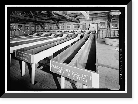 Historic Framed Print, Prairie Creek Fish Hatchery, Hwy. 101, Orick, Humboldt County, CA - 12,  17-7/8" x 21-7/8"