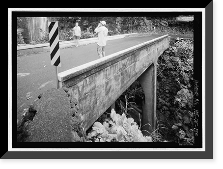 Historic Framed Print, Hana Belt Road, Between Haiku and Kaipahulu, Hana vicinity, Maui County, HI - 130,  17-7/8" x 21-7/8"