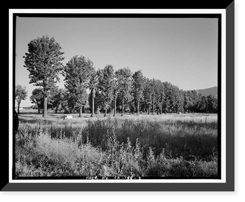 Historic Framed Print, Euclid Avenue, Upland, San Bernardino County, CA - 2,  17-7/8" x 21-7/8"