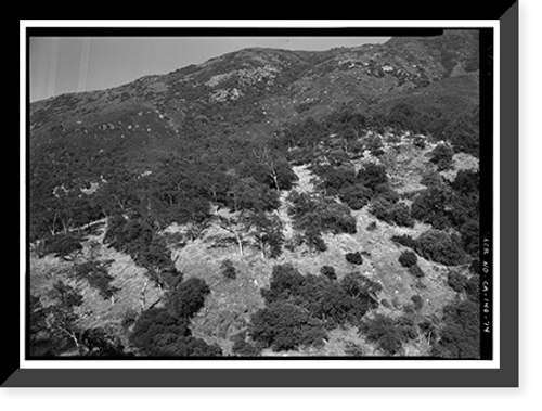 Historic Framed Print, Generals Highway, Three Rivers vicinity, Tulare County, CA - 71,  17-7/8" x 21-7/8"