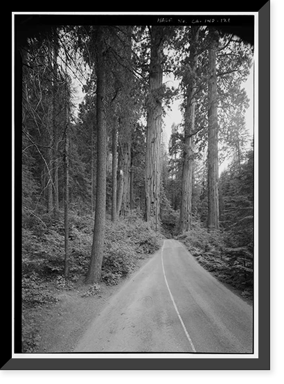 Historic Framed Print, Generals Highway, Three Rivers vicinity, Tulare County, CA - 117,  17-7/8" x 21-7/8"