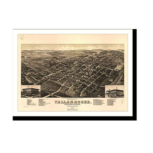Panoramic Map - Tallahassee, Florida, 1885 - Bird's Eye View Print