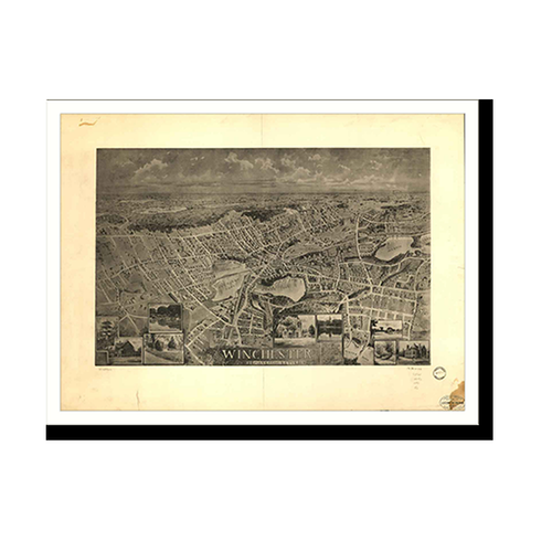 Panoramic Map - Winchester, Massachusetts, 1898 - Bird's Eye View Print