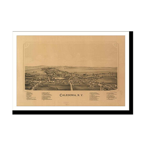 Panoramic Map - Caledonia, New York, 1892 - Bird's Eye View Print