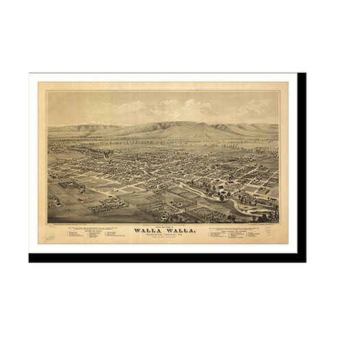 Panoramic Map - Walla Walla, Washington, 1876 - Bird's Eye View Print