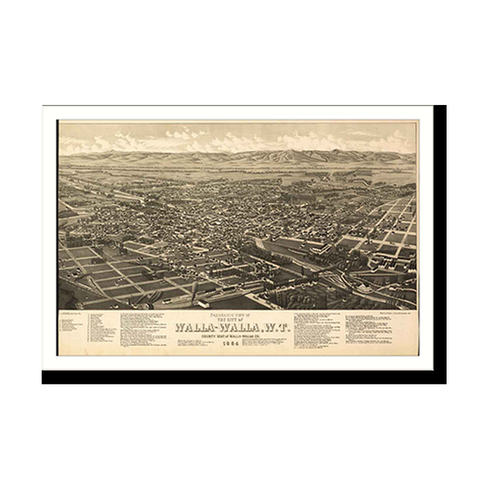 Panoramic Map - Walla Walla, Washington, 1884 - Bird's Eye View Print