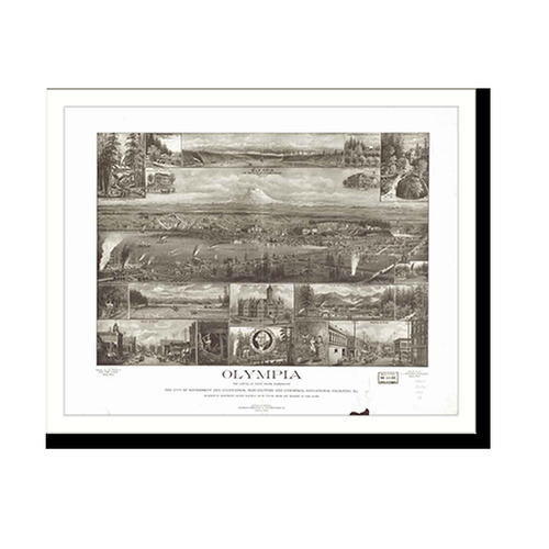 Panoramic Map - Olympia, Washington, 1903 - Bird's Eye View Print