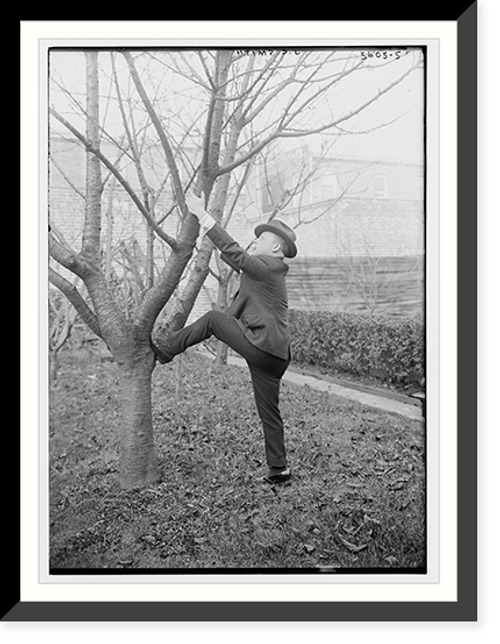 Historic Framed Print, J.C. Smith about to climb a tree,  17-7/8" x 21-7/8"