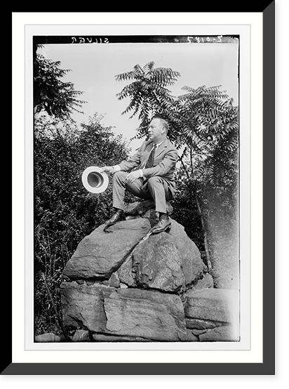 Silver - 10, Historic Print