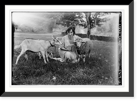 Historic Framed Print, Galli - Curci - 86,  17-7/8" x 21-7/8"