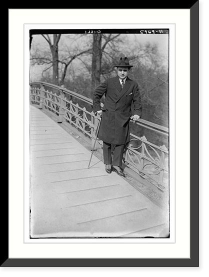 Historic Framed Print, Gigli - 15,  17-7/8" x 21-7/8"