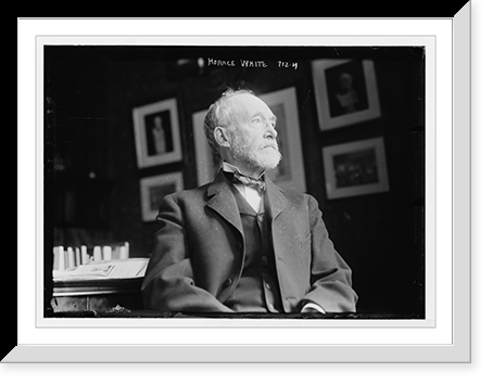 Historic Framed Print, Horace White, in his study,  17-7/8" x 21-7/8"
