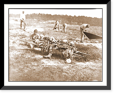 Cold Harbor Va. African Americans collecting bones of soldiers killed in the battle, Vintage Wall Art
