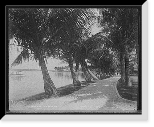 Historic Framed Print, Palm Beach walk, Palm Beach, Fla. - 2,  17-7/8" x 21-7/8"