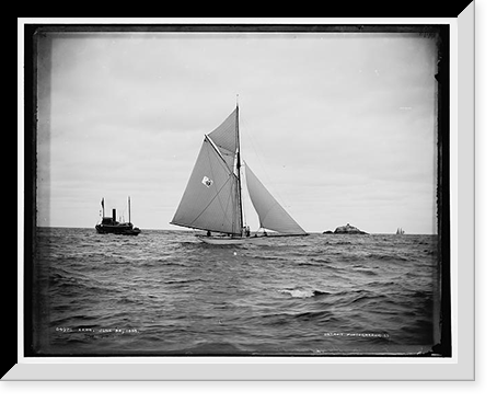 Xara - 2, Antique Wall Art
