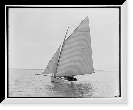 Idler - 2, Historic Reproduction